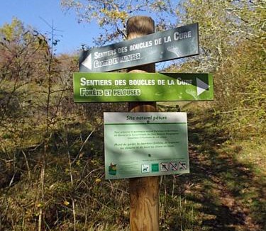 Arcy-sur-Cure Other | Wild Cure Camp