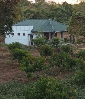 Kimbissa Hostel | Wild Night Hostel Sigiriya
