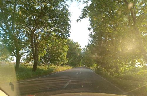 Conop Other | Wild ROute Chelmac