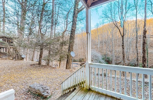 Sylva Apartment | Wilderness studio with kitchenette, jetted tub, smart TV, & AC - dog-friendly