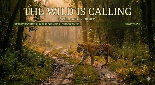 Turiya Resort | Wildexoticventure