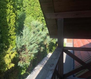 Naleczow House | Willa Faustynka