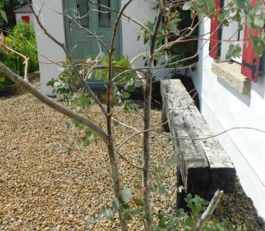 Fivemilebourne Apartment | Willow Cottage Accommodation F91X0C8