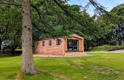 Ingleton House | Willow Lodge