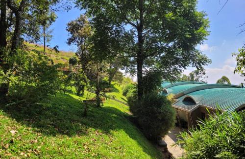 Udumbanchola Resort | Windale Resorts