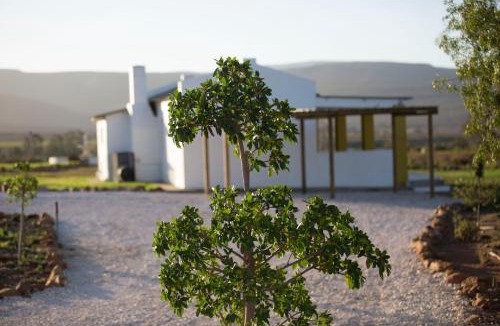 Langeberg House | Windfall Wine Farm