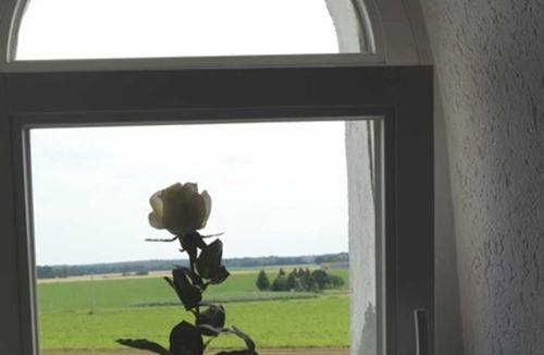 Ohrdorf Villa | Windmühle mit Kleiner Ferienwohnung - Mühlenurlaub Südheide