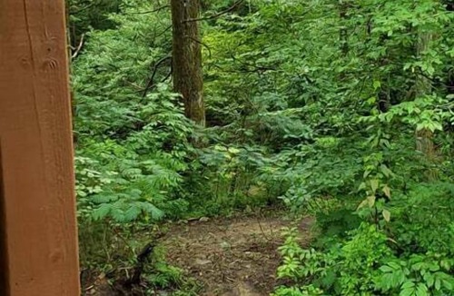 Elgin Cabin | Windrock Hideout Log Cabin Trails 26,27 and 43