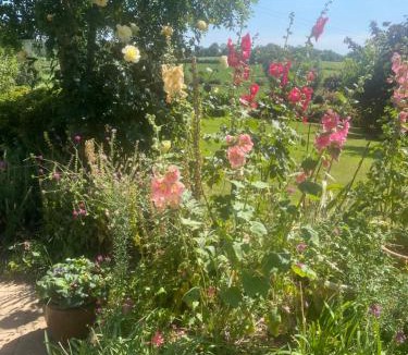 Craigavon House | Windyridge