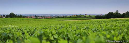 Camignone di Passirano Apartment | WINE & LaKE 1