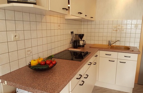 Voegtlinshoffen Apartment | Winegrower's cottage in Voegtlinshoffen CENTER ALSACE