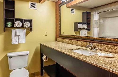 Conway Hotel | Wingate by Wyndham Conway AR