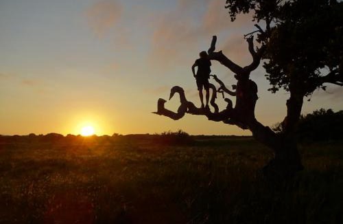 uMhlabuyalingana Other | Winterdodgers Backpackers and Campsite