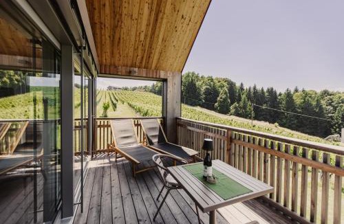 Eichberg-Trautenburg House | Winzerhäuser Skringer Wohnen im Weingarten