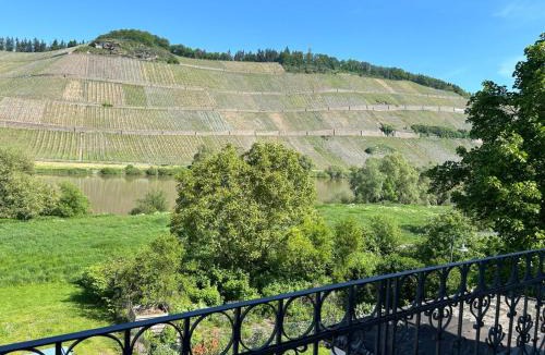 Brauneberg Apartment | Winzervilla Kammerhof - 3x stilvolle & geräumige FeWos mit Moselblick, 2-12 Gäste buchbar, direkt am Moselradweg