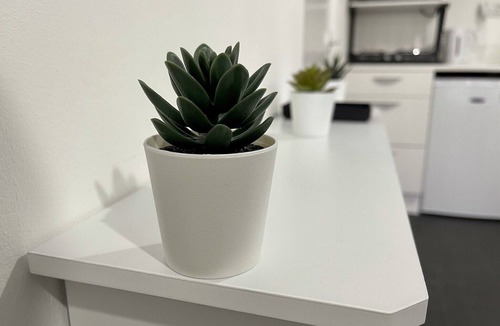 Lee Green Apartment | Wisteria Studio