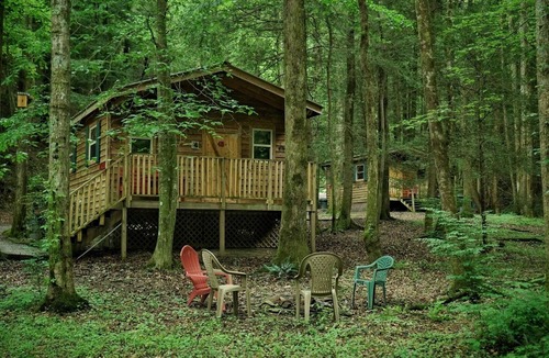 Ellijay Cabin | With a king sized bed BEAR'S LAIR gives comfort of home plus an outdoorsy vibe!