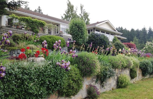 Saanichton House | WolfShire - Courtyard - Beauty and Serenity in the Valley