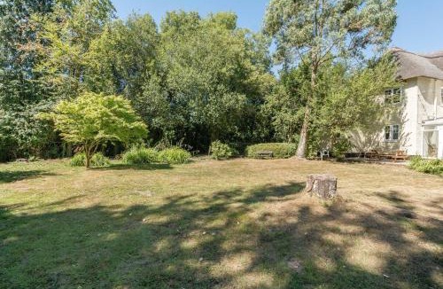 New Forest District House | Wonderful thatched cottage in the New Forest National Park