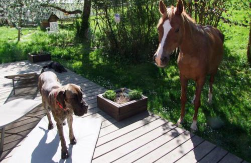 Schwaebisch Gmuend Apartment | Wonderworld