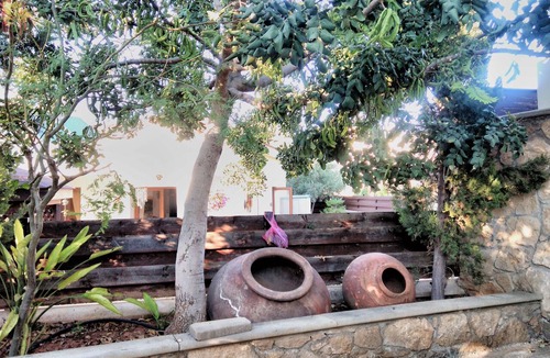 Chlorakas House | Wooden House - Garden, Free Parking