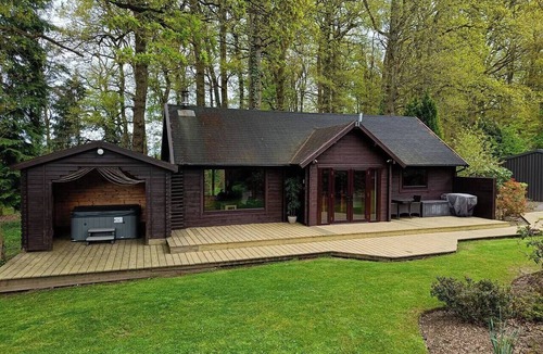 Willand Cabin | Woodpeckers @ Woody Park