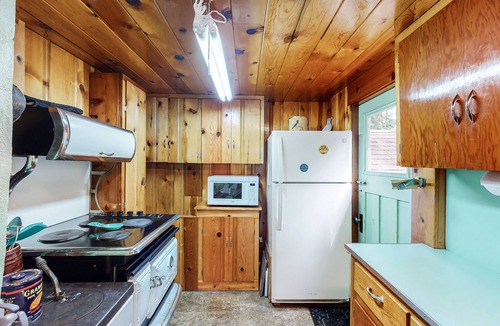 Joseph Cabin | Woodsy riverfront basecamp with fireplace, large deck & firepit - dogs welcome