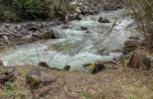 Joseph Cabin | Woodsy riverfront basecamp with fireplace, large deck & firepit - dogs welcome
