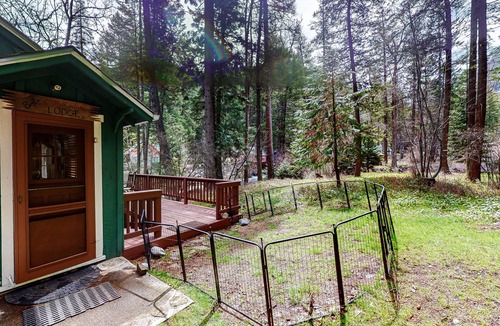 Joseph Cabin | Woodsy riverfront basecamp with fireplace, large deck & firepit - dogs welcome