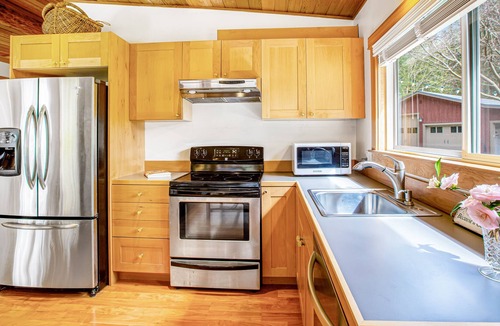 Langley Cottage | Woodsy studio with high-speed WiFi, gas fireplace, and shared grill