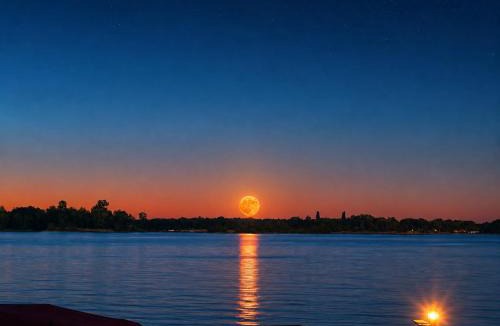 Oud-Loosdrecht Boat Rental | woonboot de dobber loosdrechtse plassen 4-8 personen
