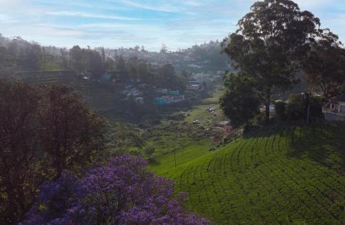 Kotagiri Villa | Wyncroft Bed and Breakfast, Heritage Bungalow at Kotagiri