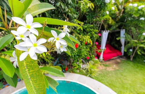 Colonia de Pescadores Hotel | Xainã Pousada de Charme