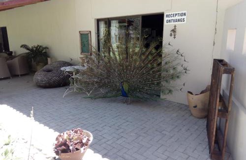 Gobabis Other | Xain Quaz Camp