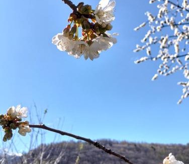 Gravere Bed & Breakfast | Yamabushi B&B