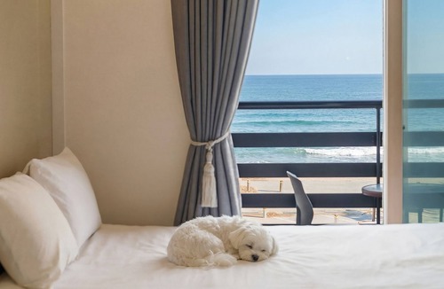 Sokcho House | Yangyang Haettuneonchangmoon Pension
