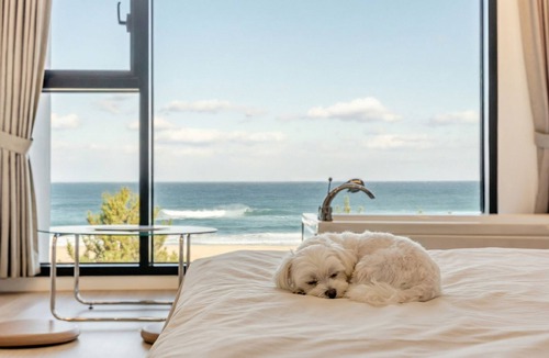Yangyang House | Yangyang Surf Shack