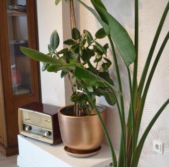 Cekirge Mahallesi Bed & Breakfast | Yankı Hotel