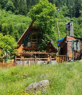 Ayder Ski Chalet | Yayla Bungalov
