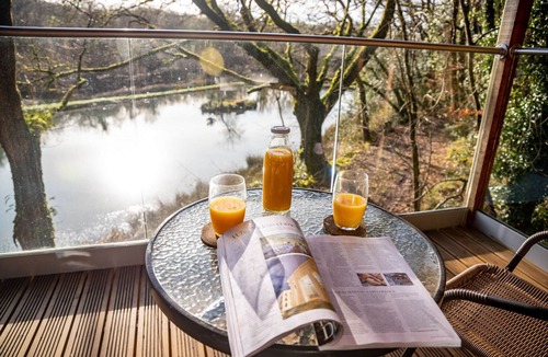 Beaworthy Ski Chalet | Yeworthy Eco-Treehouse