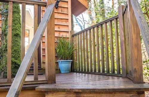 Beaworthy Ski Chalet | Yeworthy Eco-Treehouse