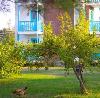 Yaniklar Hotel | Yonca Lodge