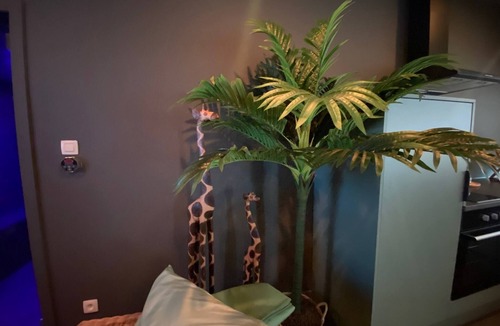 Berneau Apartment | Your wellness break!