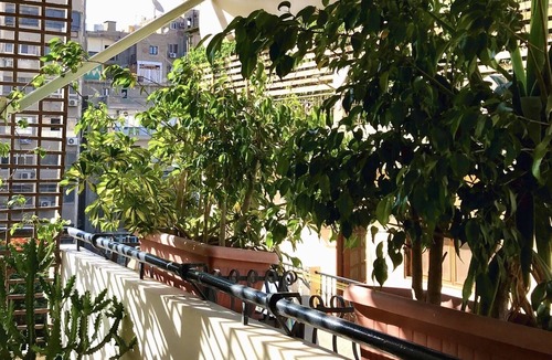 Zamalek Apartment | Your Zamalek Retreat