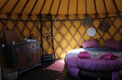 Conchez-de-Bearn Other | yourtes coccinelles