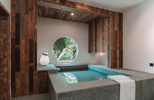 Emeishan Hotel | YunXi ChanYi Forest Soup Spring Resort Hotel ,Provides pick-up service and tea leaves,Drink Chinese wild tea leaves