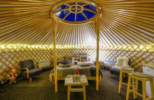 Sinetta Other | Yurt District