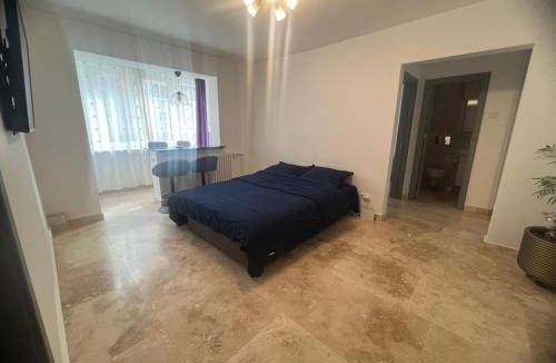 Ramnicu Valcea Apartment | Ywa