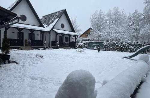 Praid House | Zöld Tulipán