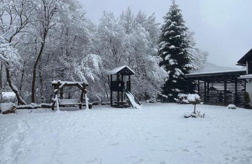 Praid House | Zöld Tulipán